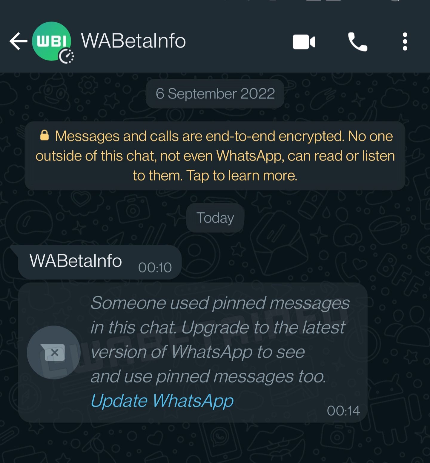 Update WhatsApp to view pinned messages prompt