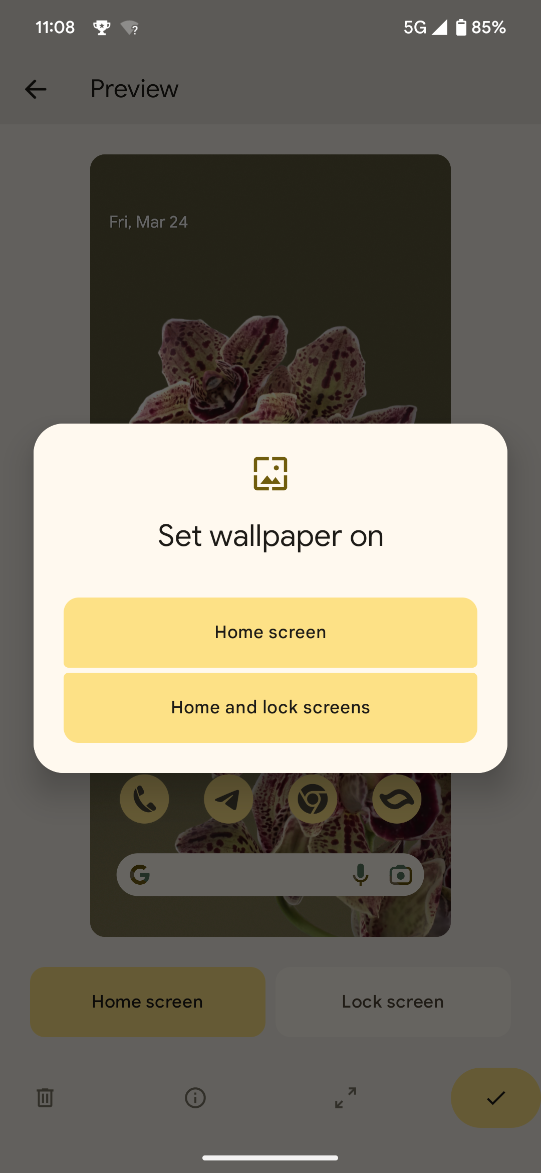 Opções do seletor de papel de parede do Android 13 para papéis de parede ao vivo: tela inicial ou apenas telas inicial e de bloqueio