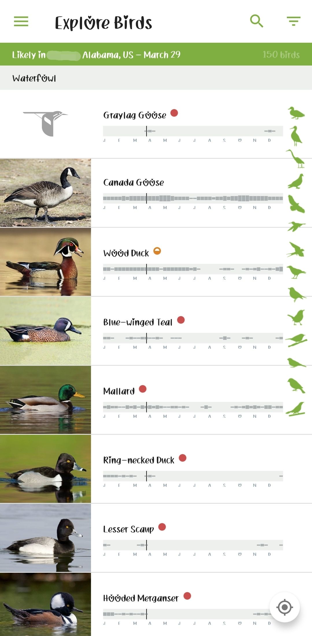 8 best birding apps in 2024