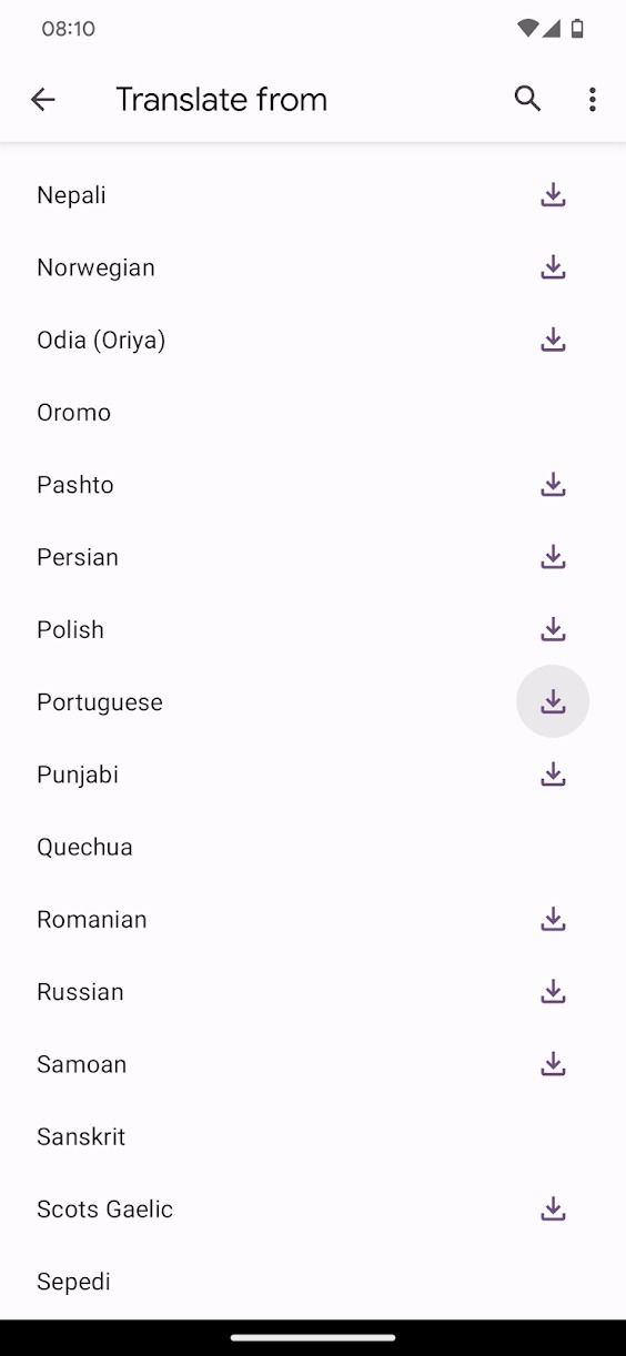 google-translate-offline-home-screen-2