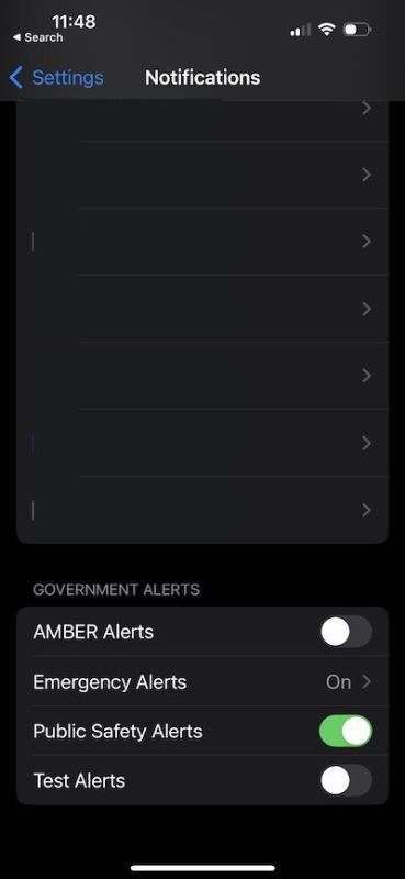 iOS Notifications menu and Government Alerts toggles.
