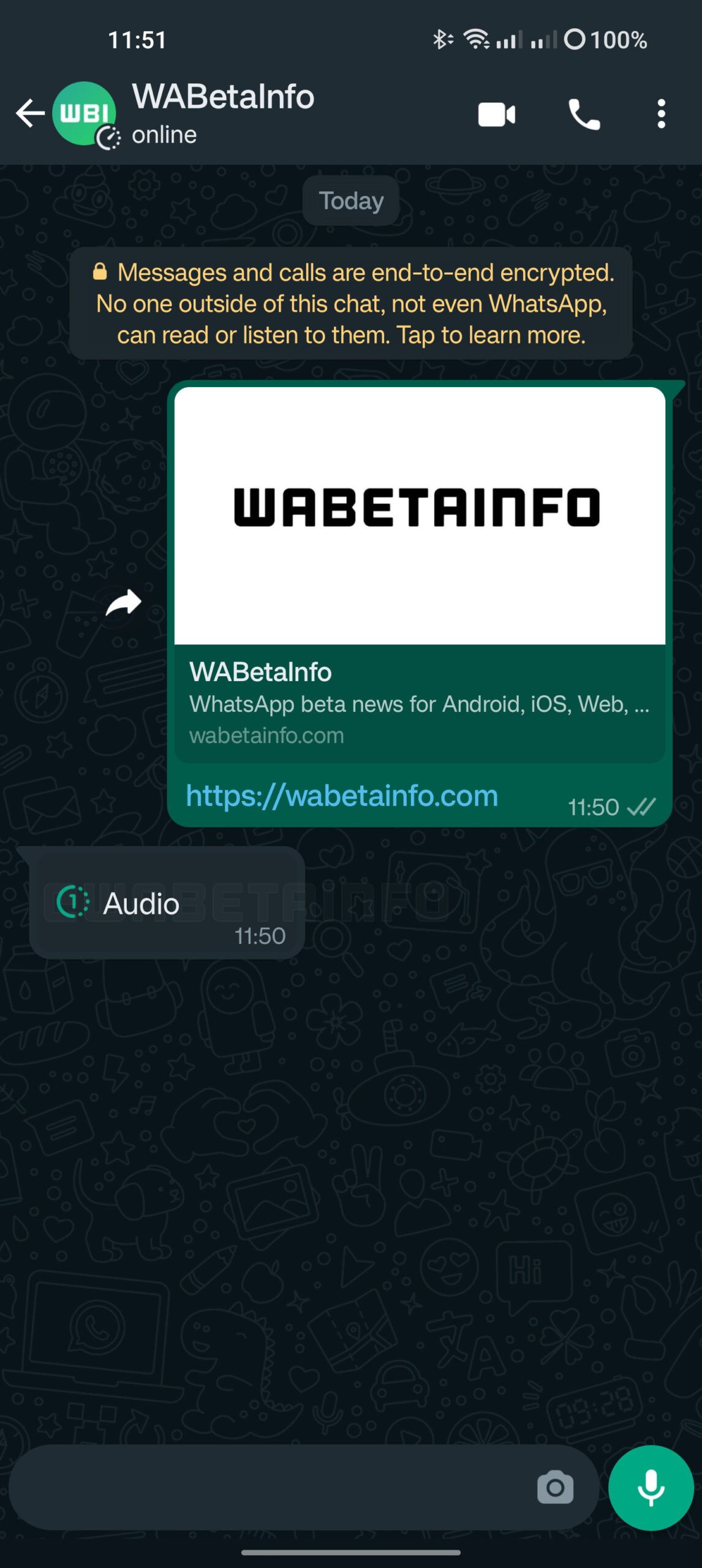 Cuplikan layar dari pesan audio yang menghilang di WhatsApp