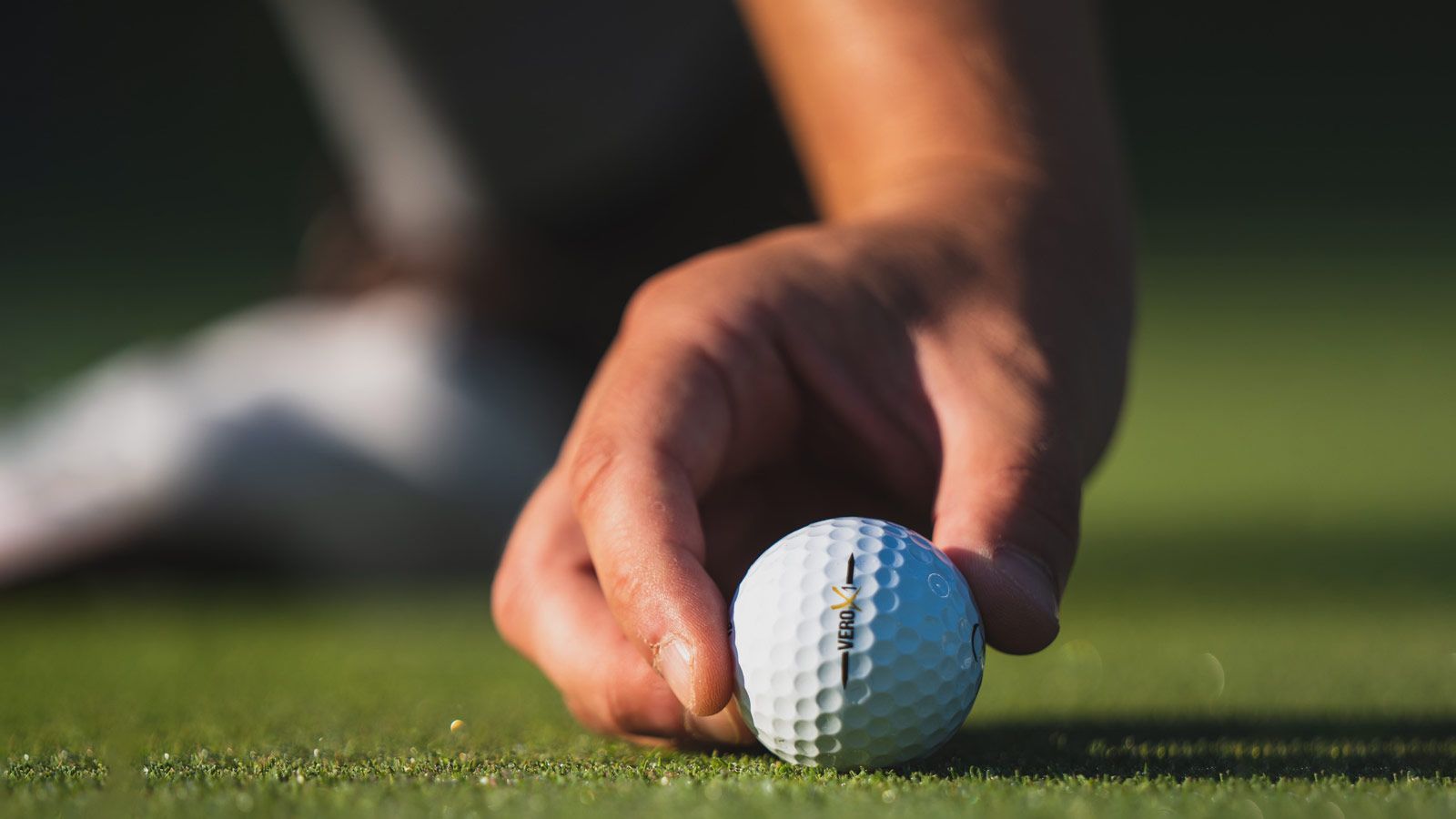 A hand placing a golf ball on the green. 