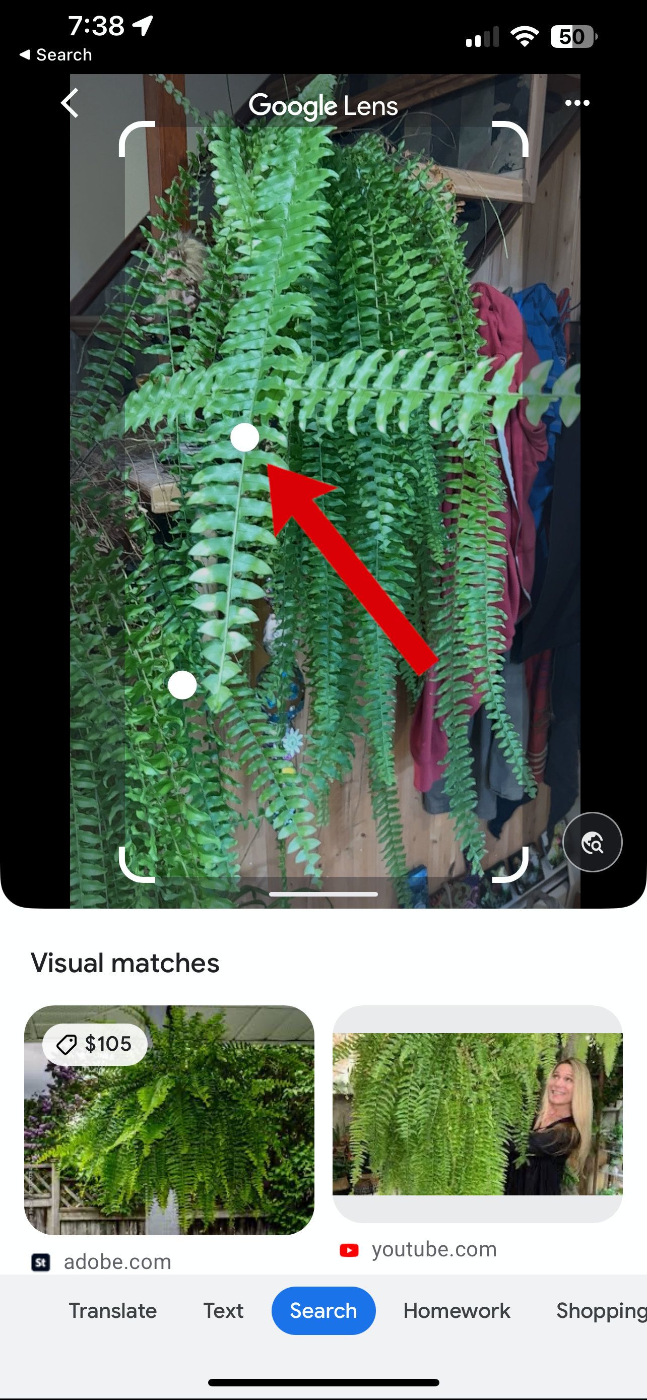 A screenshot of Google Lens for iOS with an arrow pointing to a highlight.