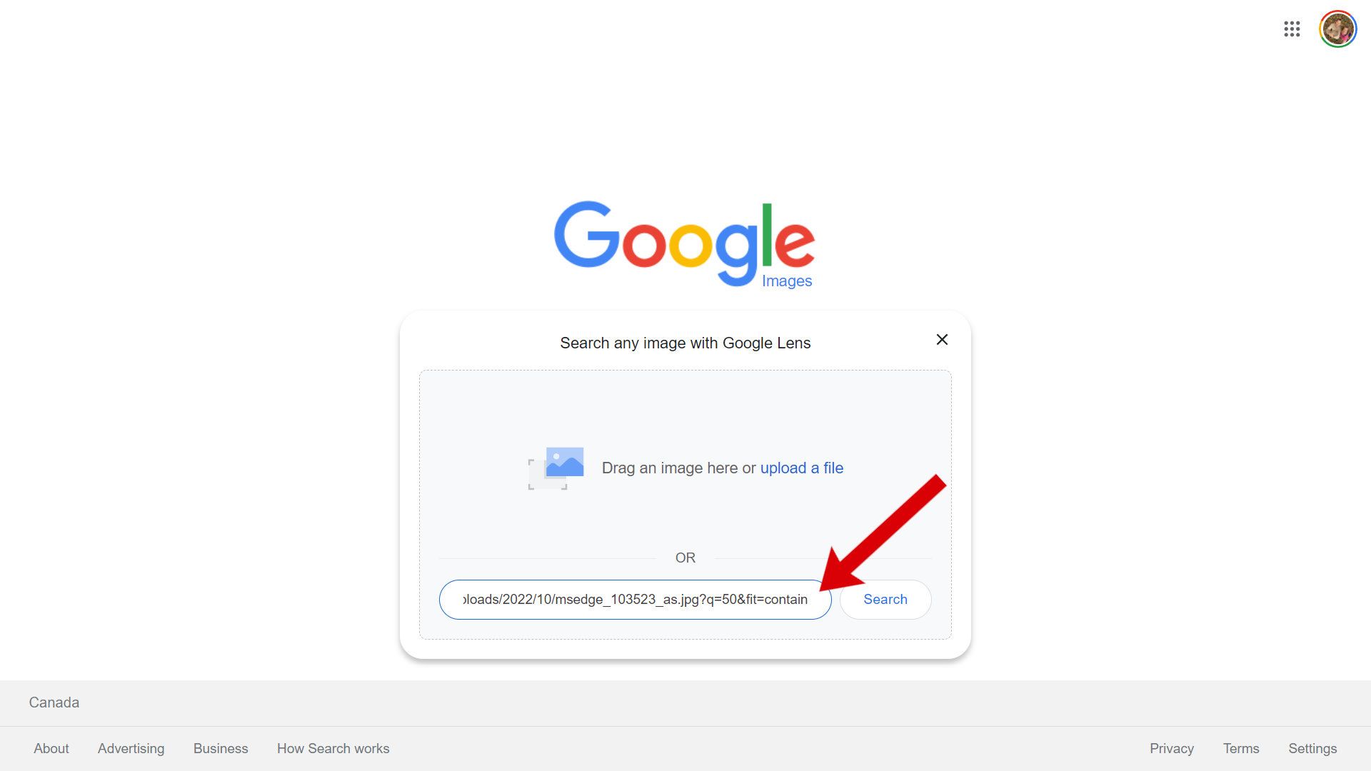A screenshot of Google Images upload window with an arrow pointing to the URL box.