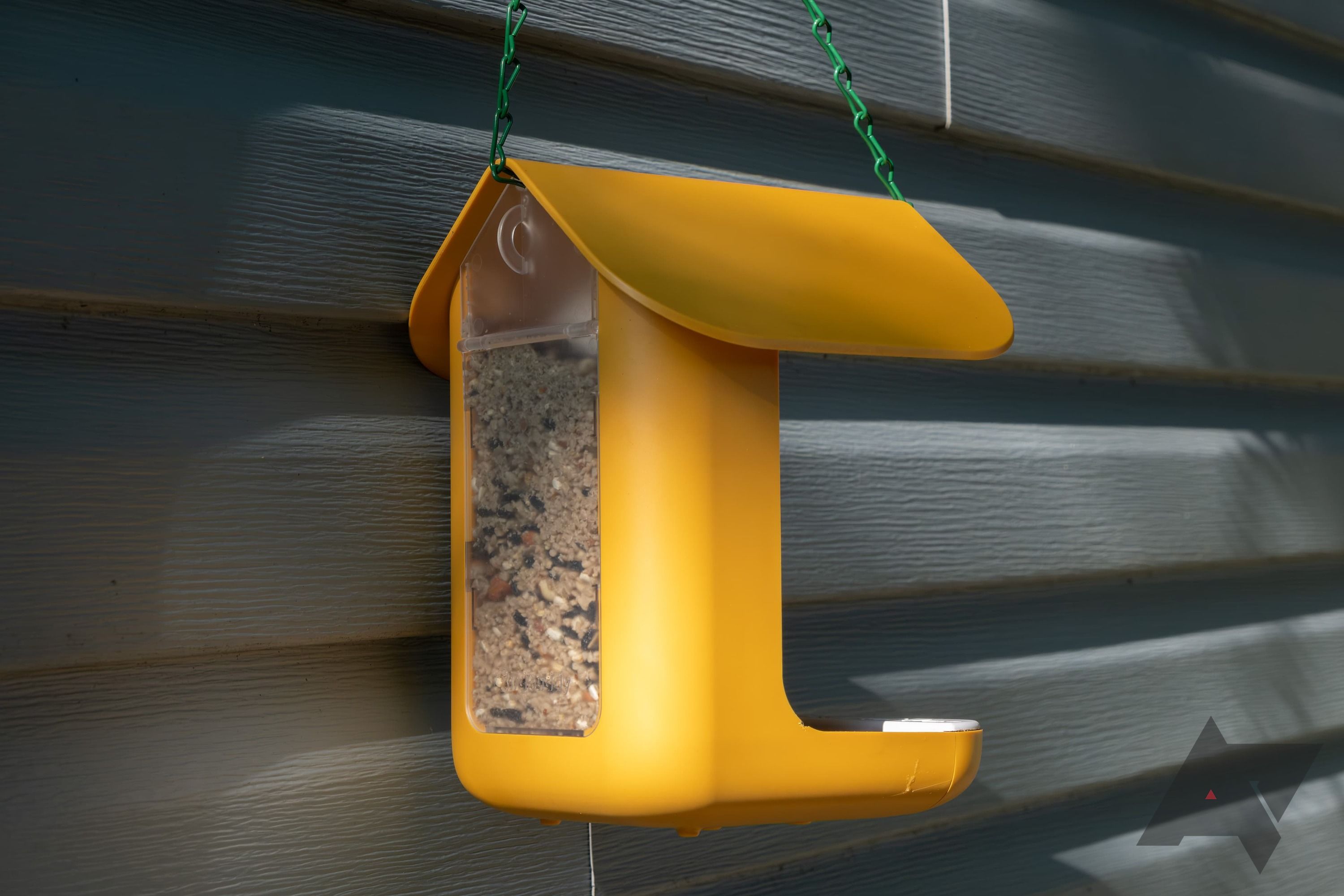 Bird Buddy Smart Bird Feeder Review Amateur Ornithology At Its Cutest 0365