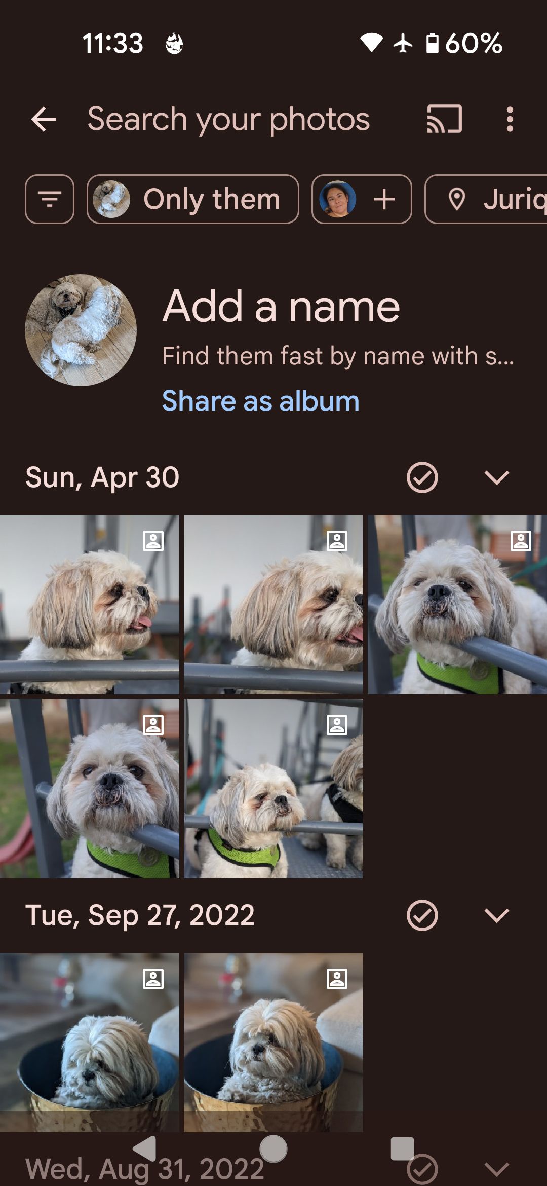 Adding a name for a pet on Google Photos app