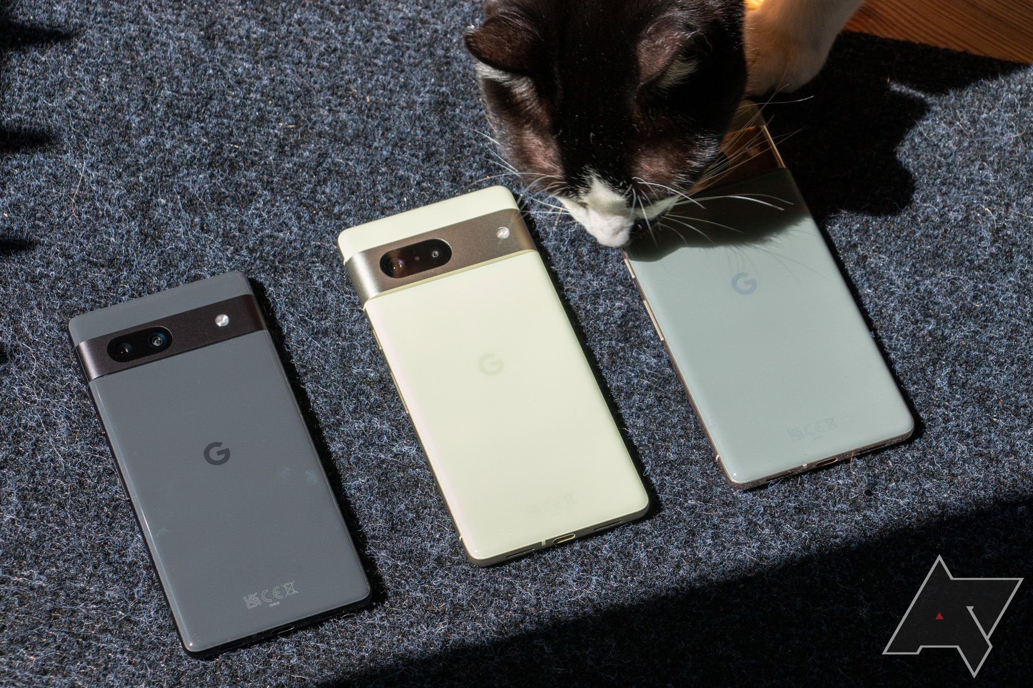 Three Google Pixel 7 series phones next to each other with a cat smelling one of them