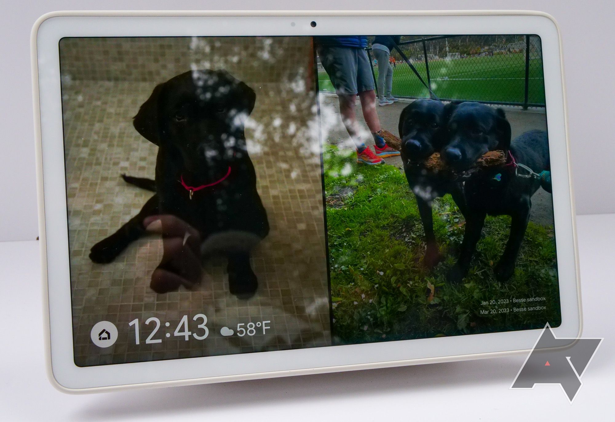 The Google Pixel Tablet showing pictures of a dog