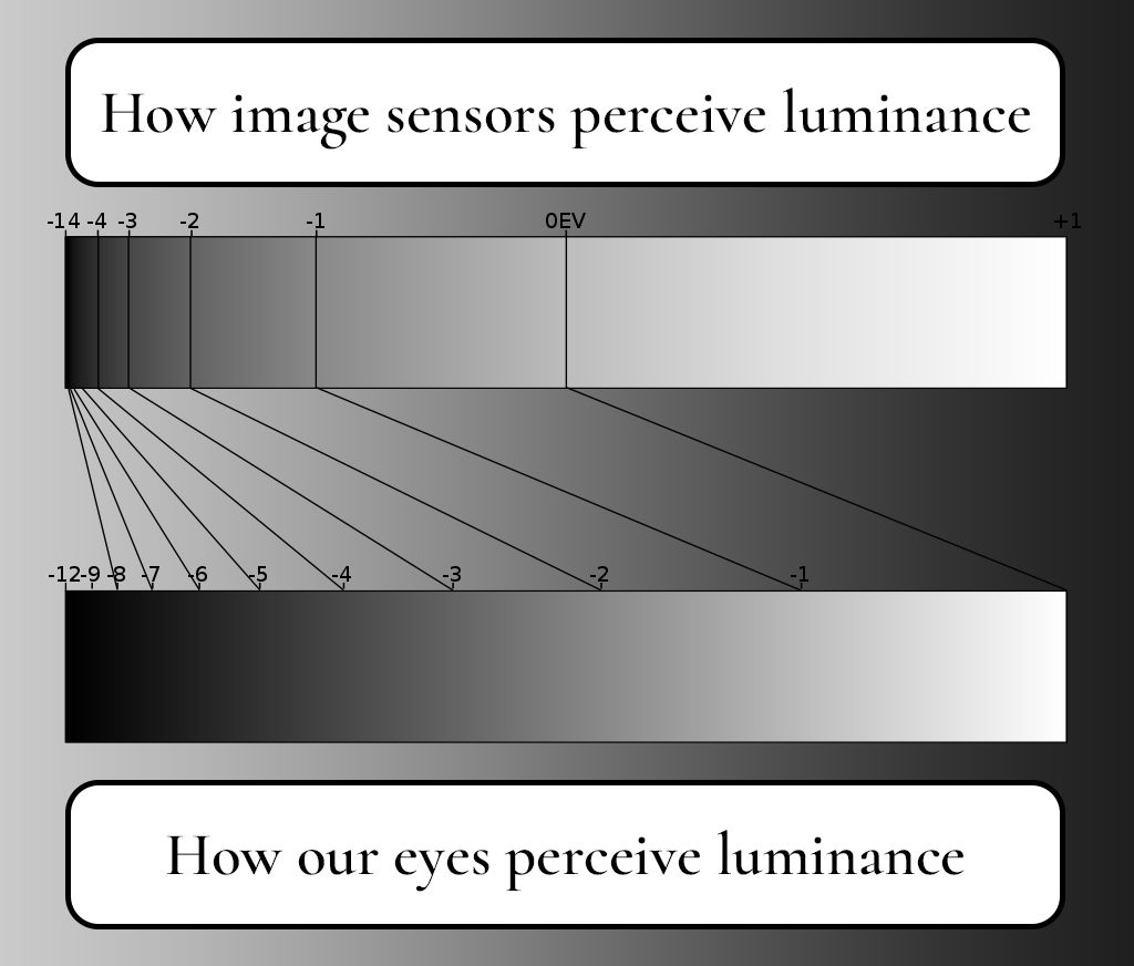How gamma correction adjust luminance values to closer align with human perception