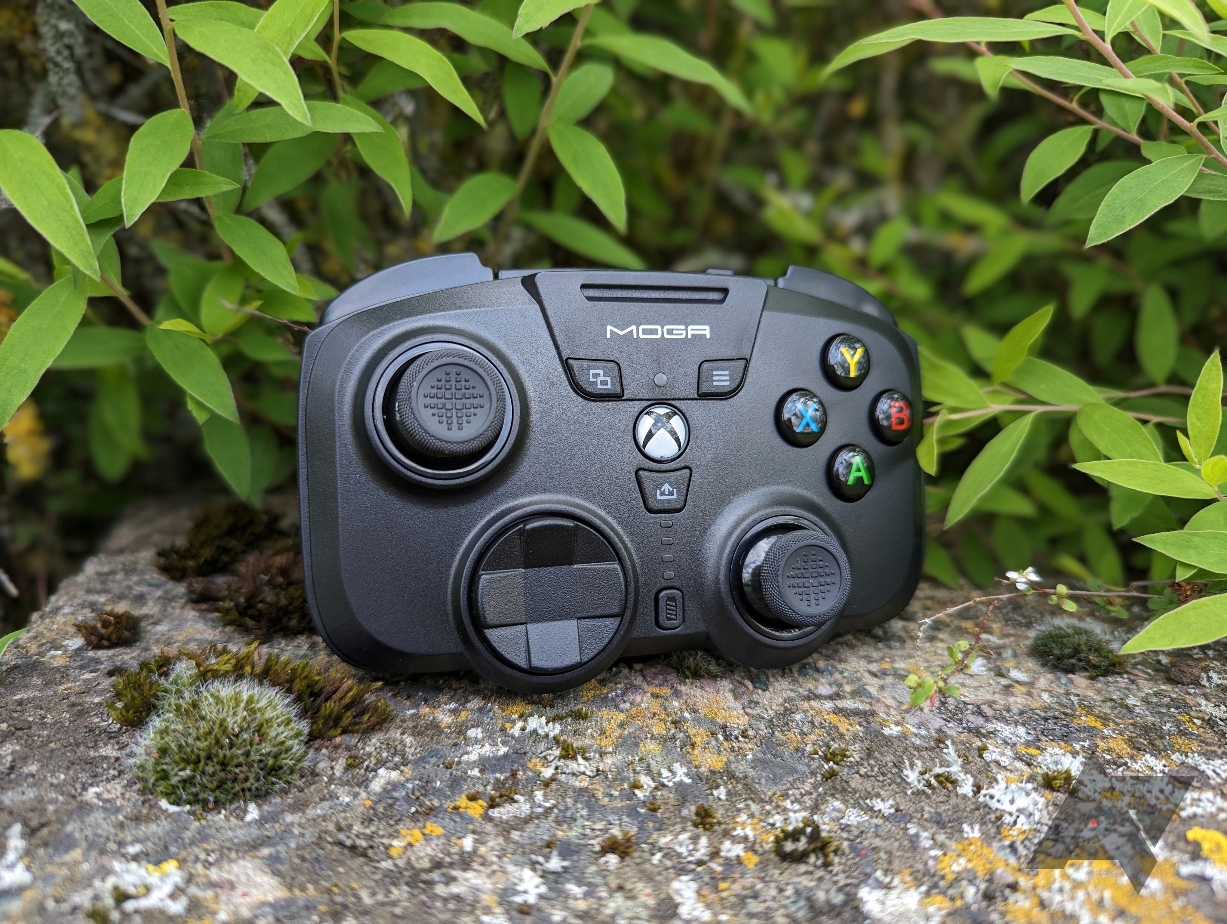 game controller sitting on rocks in front of leaves