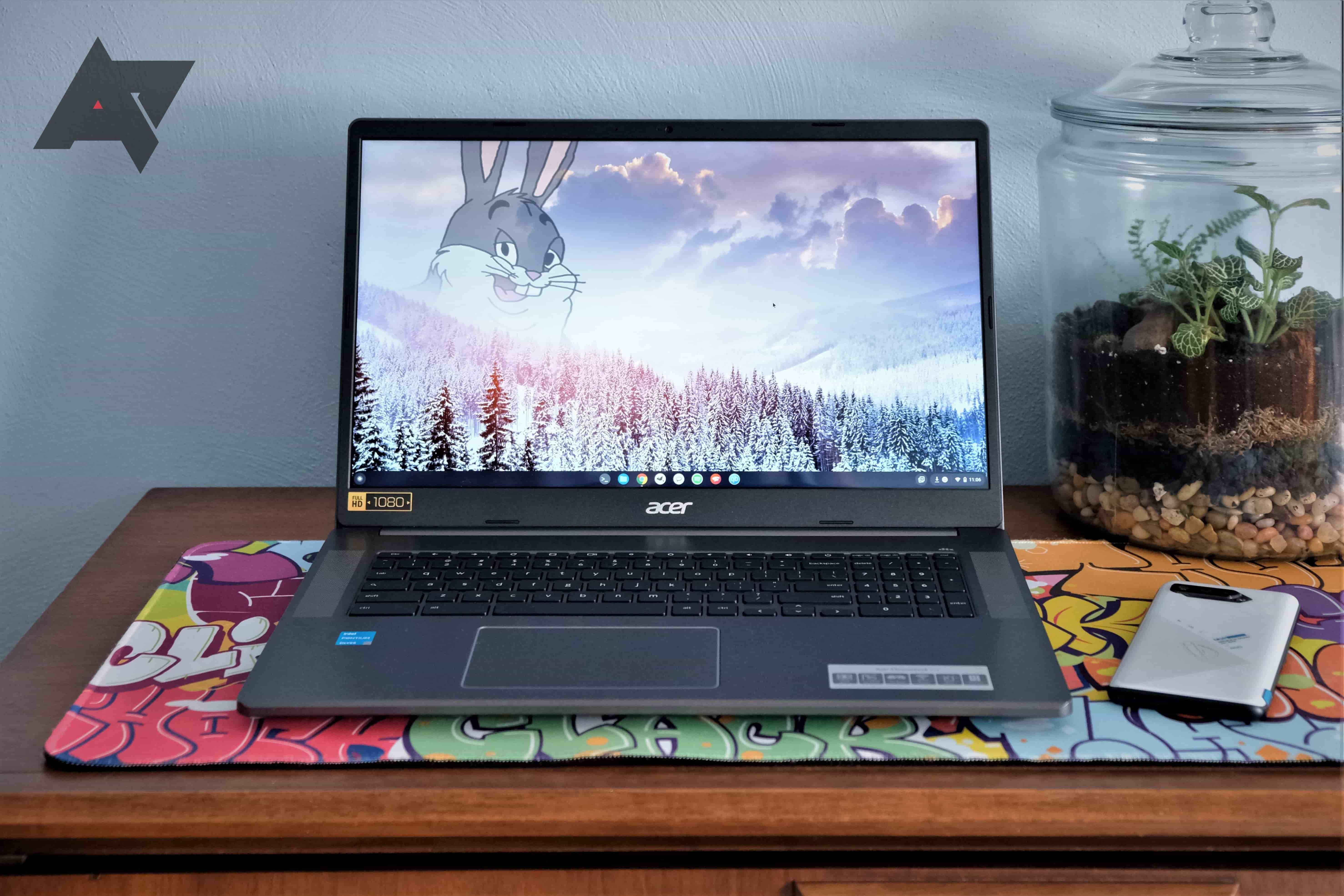 An Acer Chromebook 317 sitting on a wooden desk with a plant and phone next to it and a blue wall in the background and an image of a mountain with Big Chungus on it