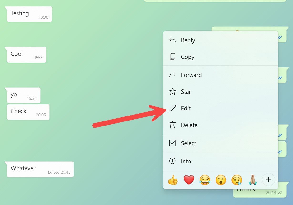 edit a message on WhatsApp desktop