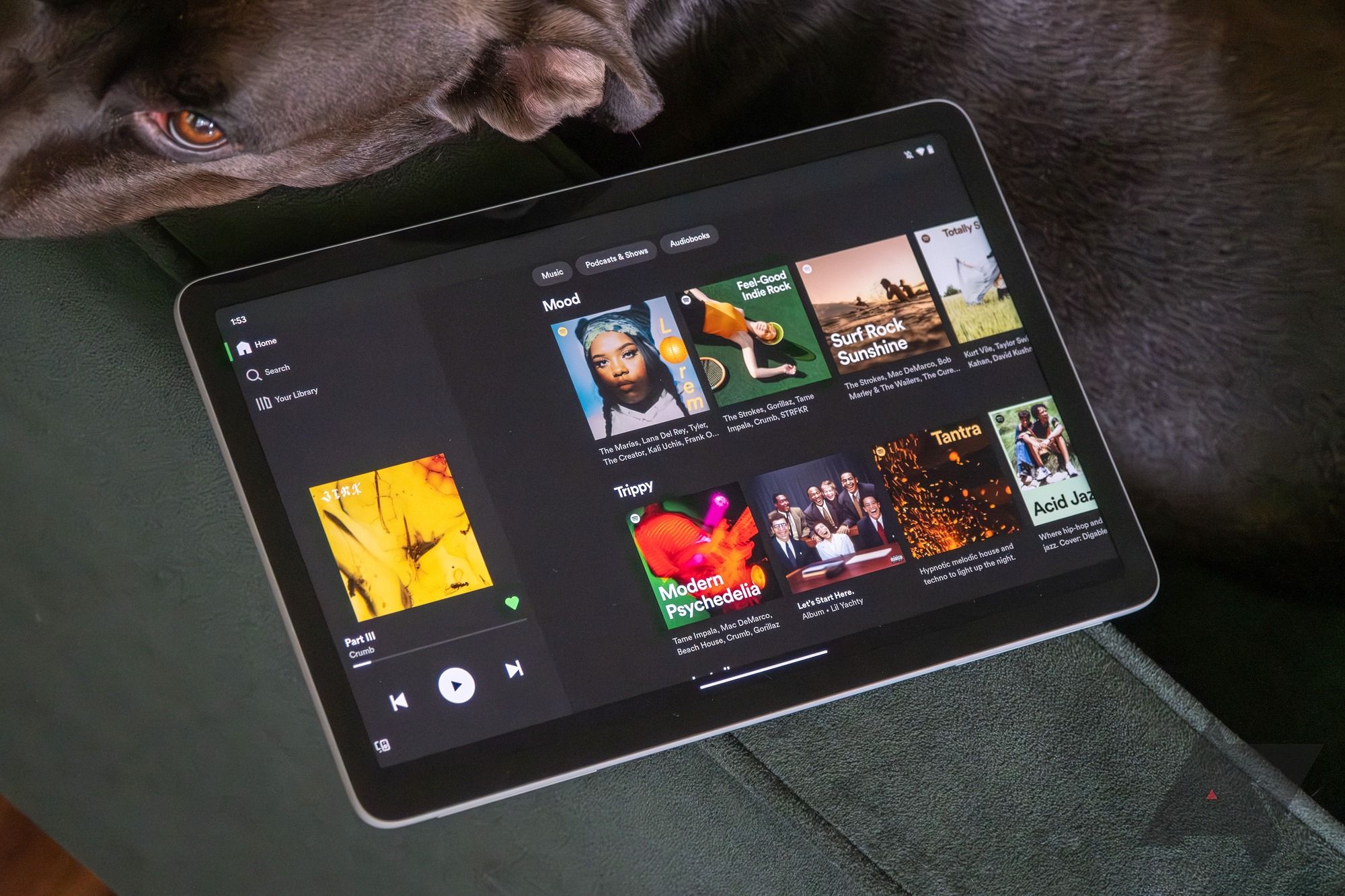 A Google Pixel Tablet displaying the Spotify app.