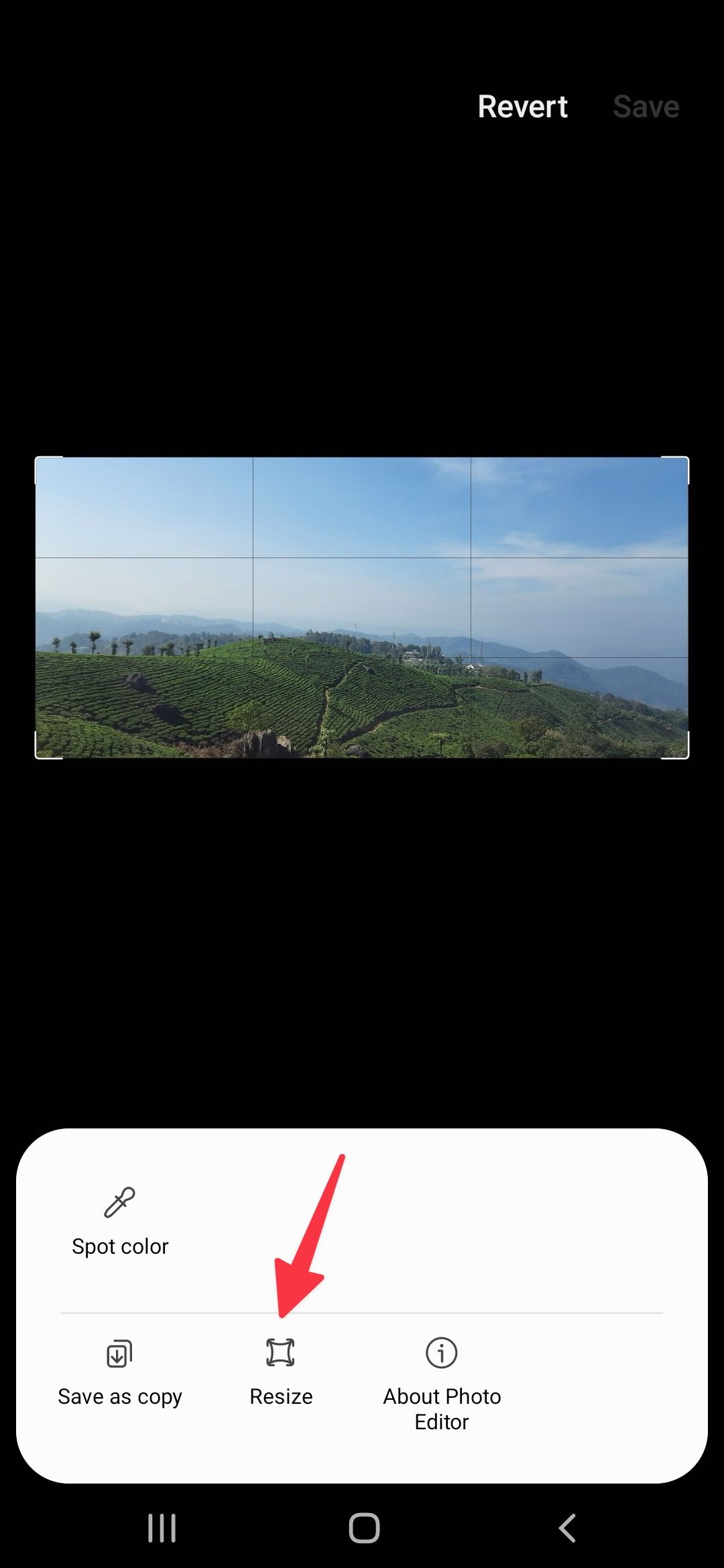 Screenshot highlighting the Resize option on a Samsung phone