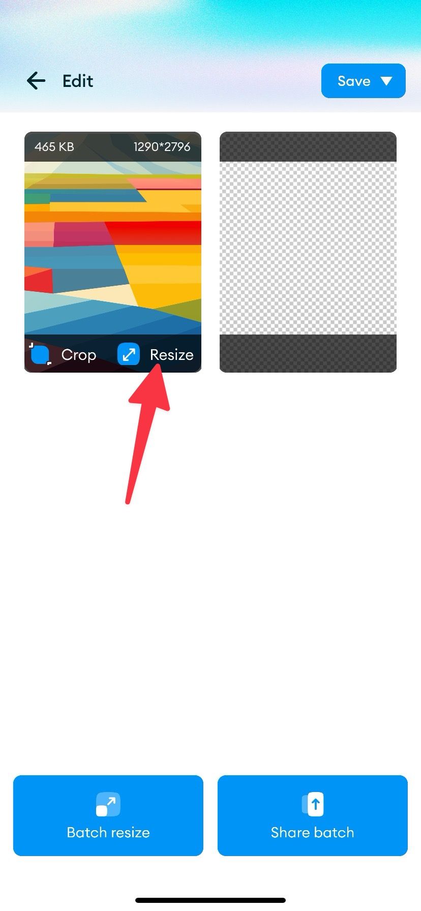 Screenshot showing the 'Resize' option on the Photo & Image Resizer app on iPhone