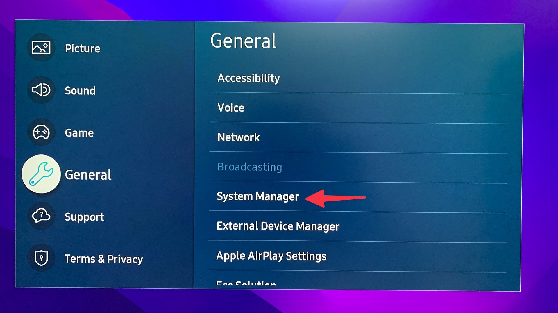 System Manager on Samsung TV
