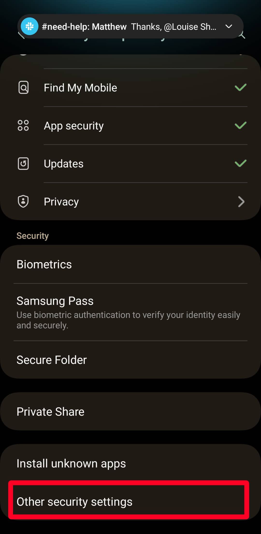 Security and privacy menu on Android phone