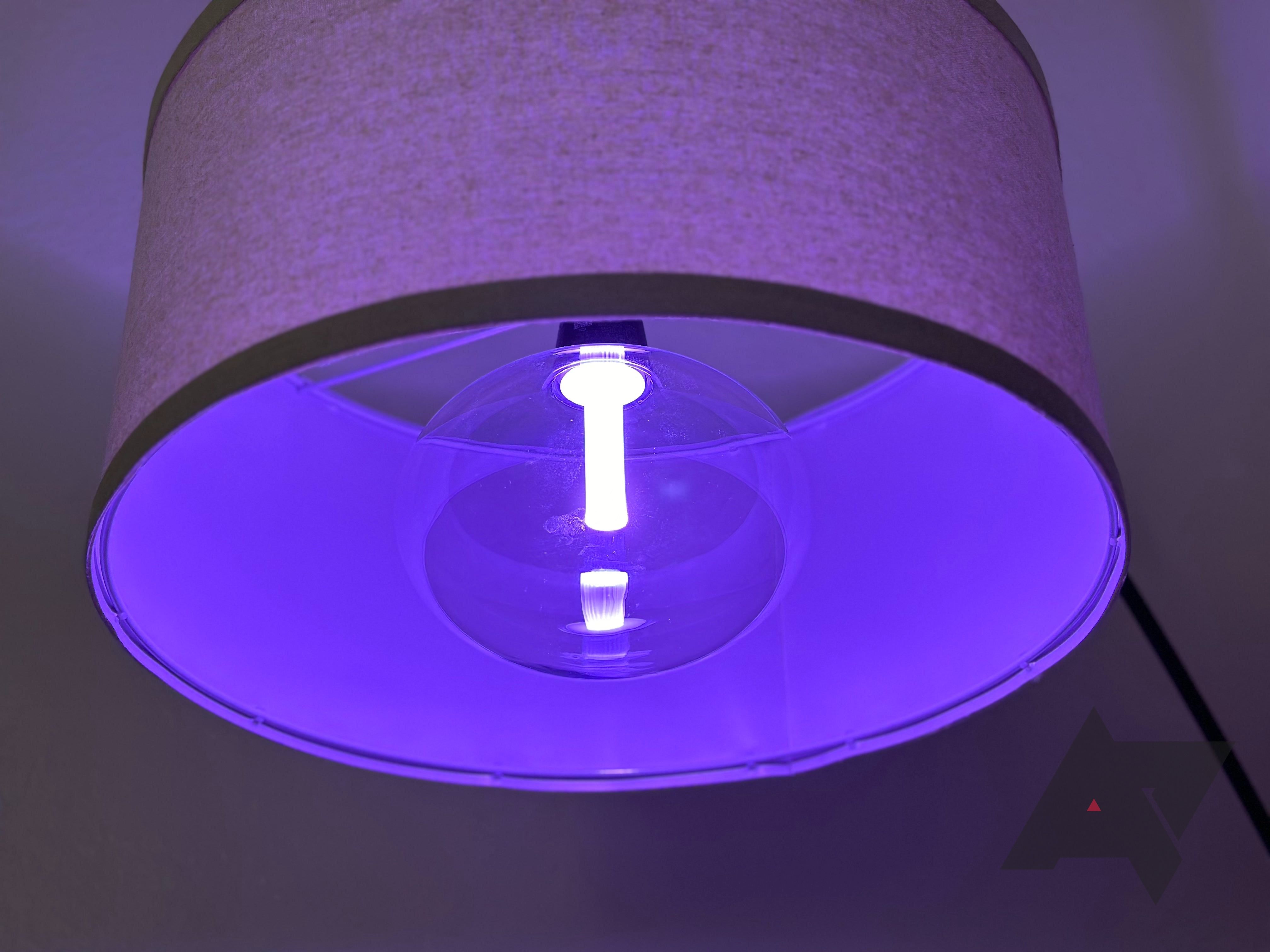 Philips' Lightguide Ellipse in purple