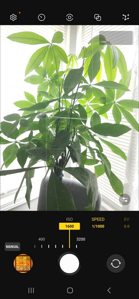 How to Use Manual Iso Settings: Master Perfect Exposure Quickly