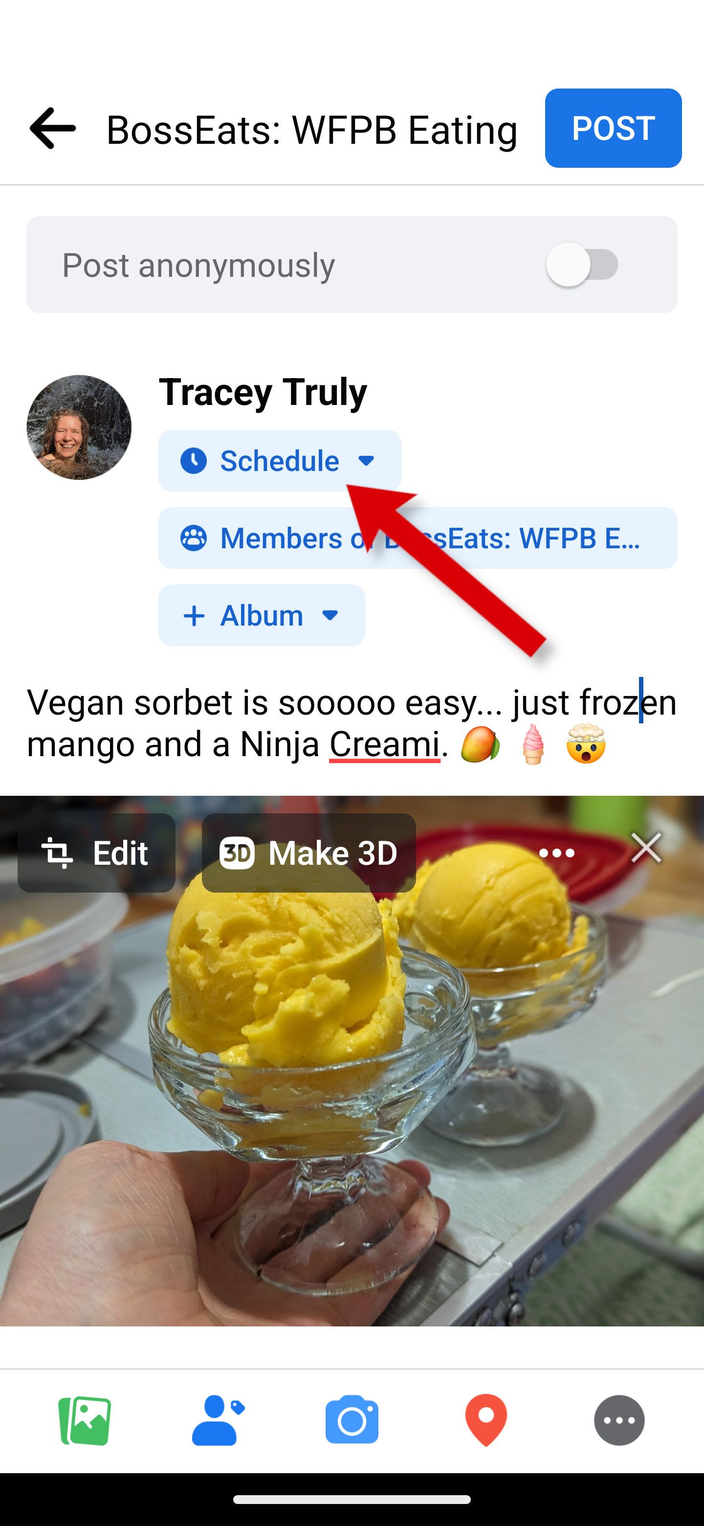 schedule post facebook app