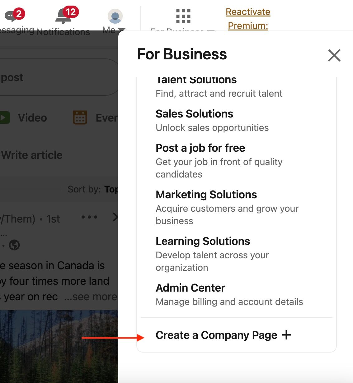 the LinkedIn desktop menu for companies with a red arrow pointing at the menu possibility to Create a Firm Page +