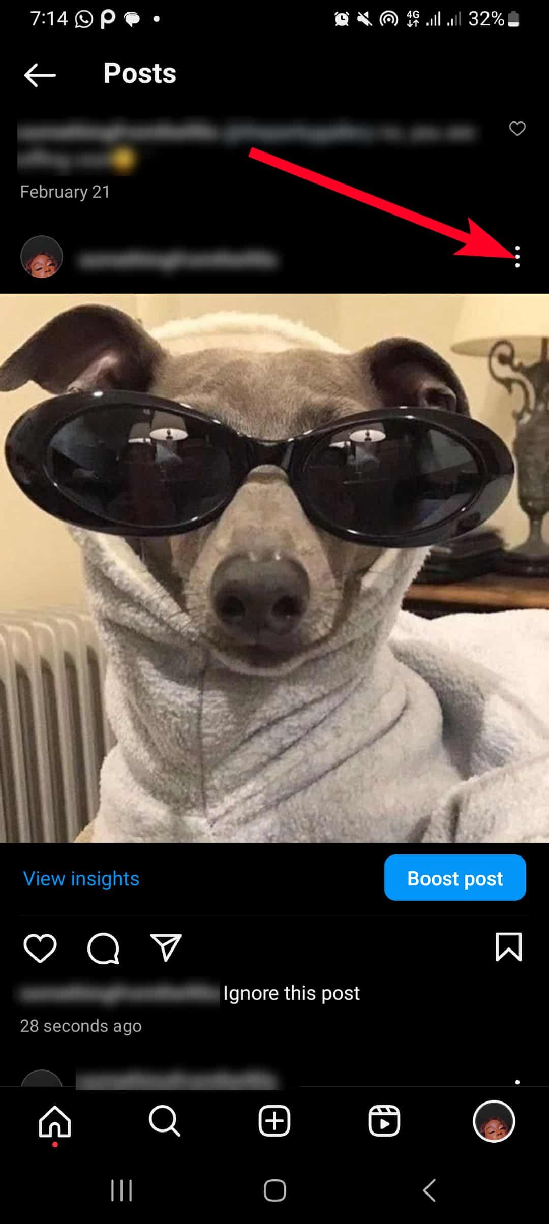 Photo of dog in dusky shades on Instagram app