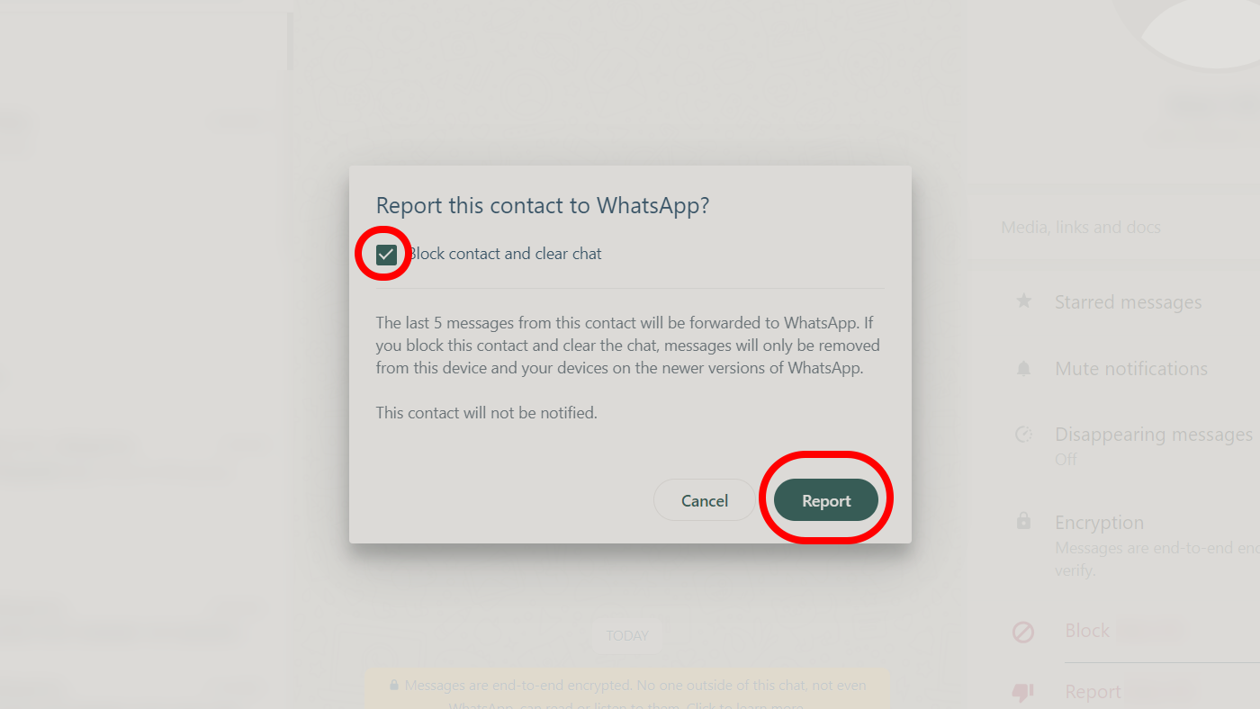 Blocking and reporting a contact in WhatsApp web 