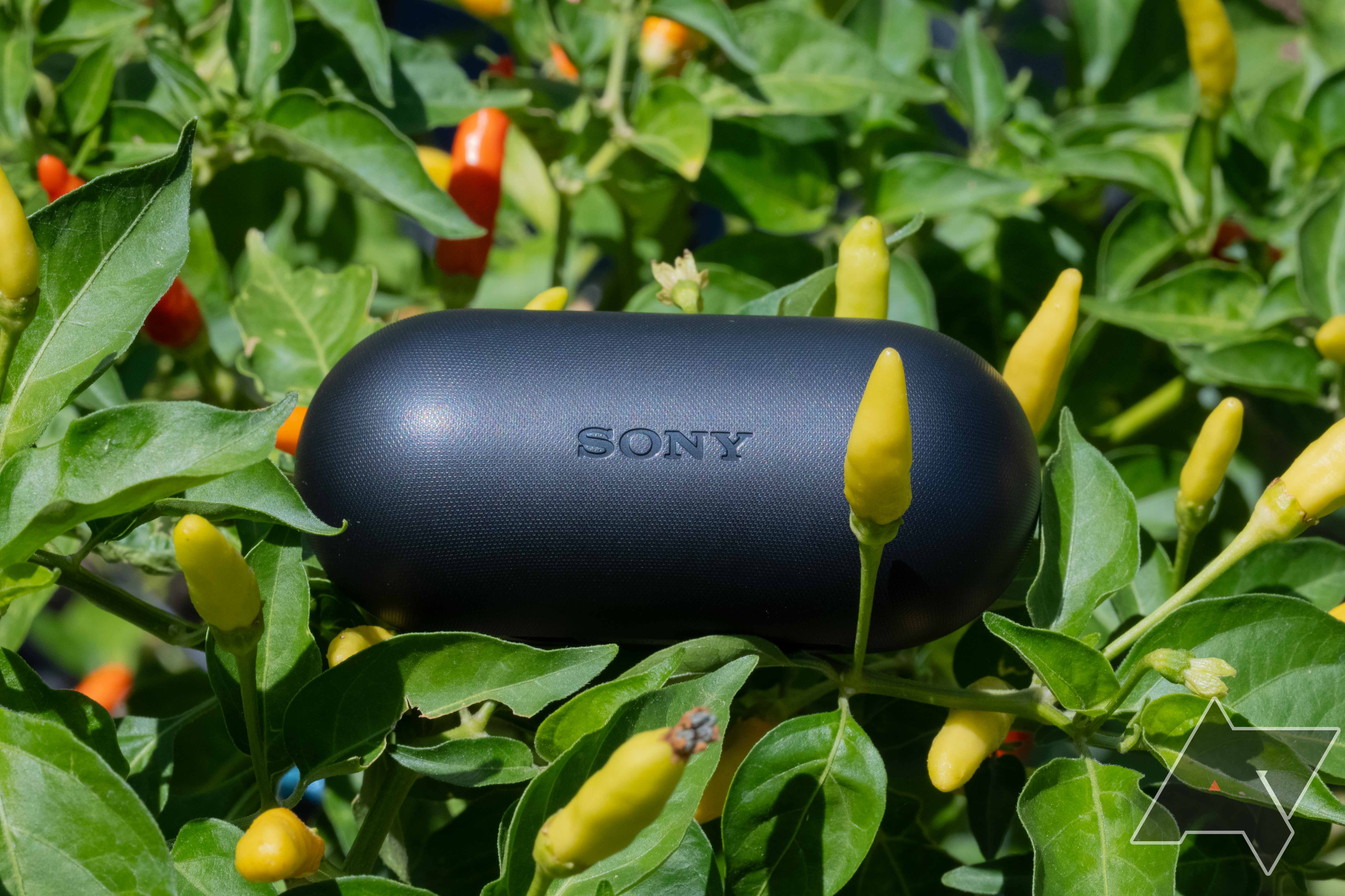 The Sony WF-C700N charging case resting in a pepper plant, surrounded by peppers