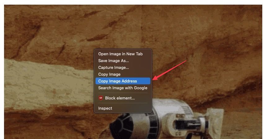 Copying a GIF link