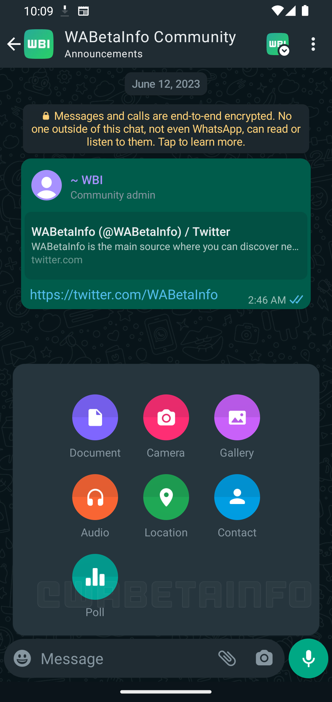 wabetainfo-polls-update-whatsapp
