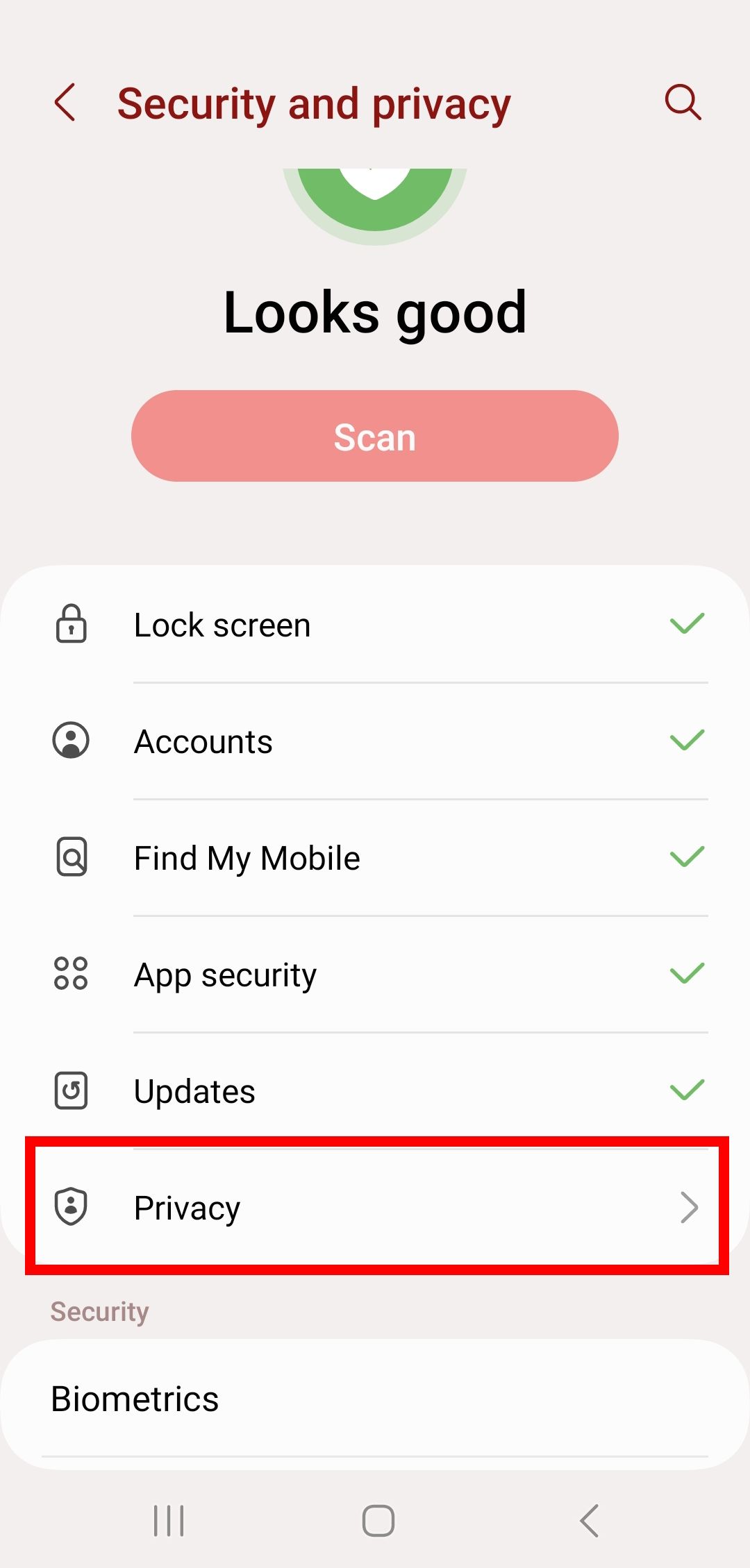 red rectangle outline over privacy in security and privacy settings