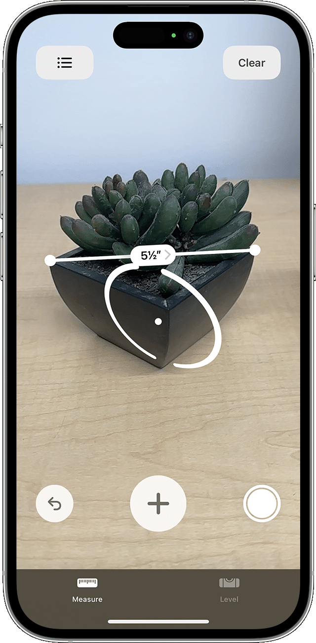 Apple Measure app displays dimensions for potted succulents