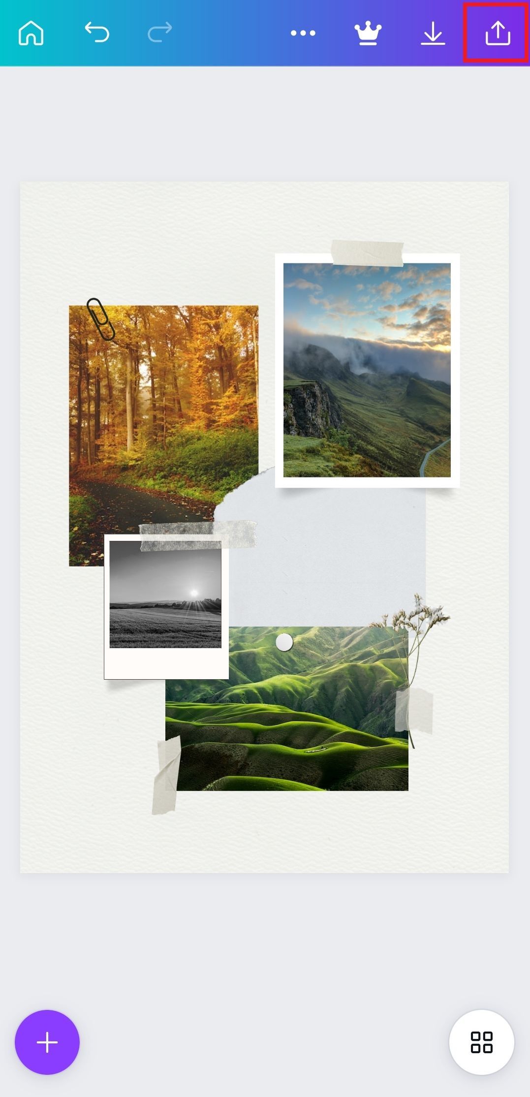 Screenshot of a photo collage in Canva