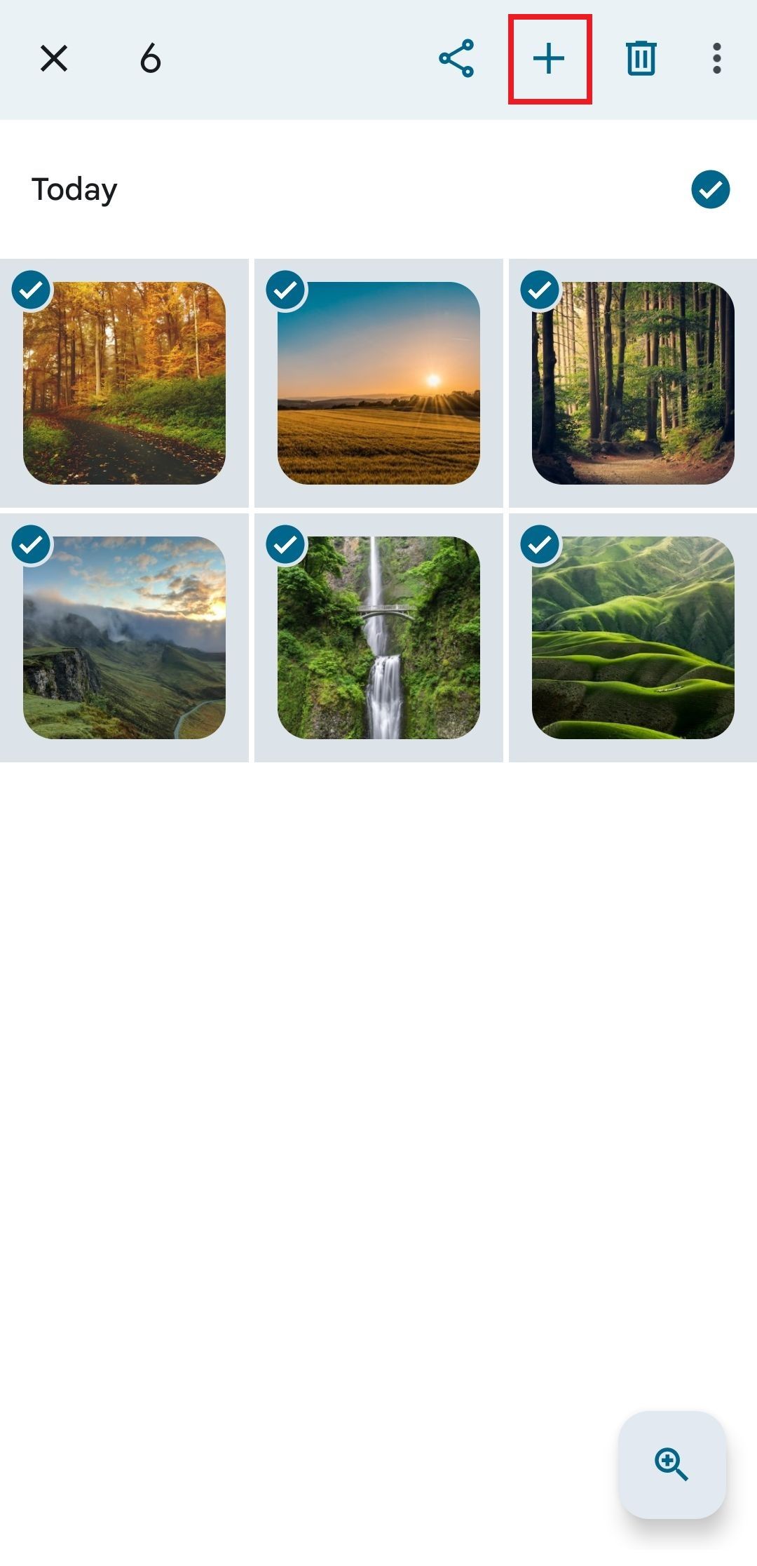 Screenshot showing six images selected for the collage in Google Photos