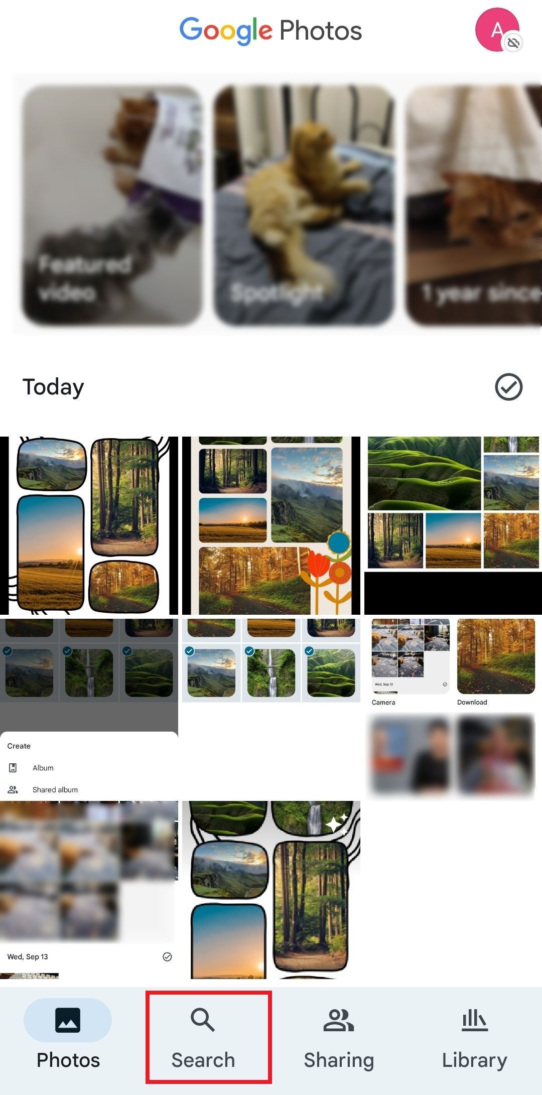 Screenshot of Search option in Google Photos