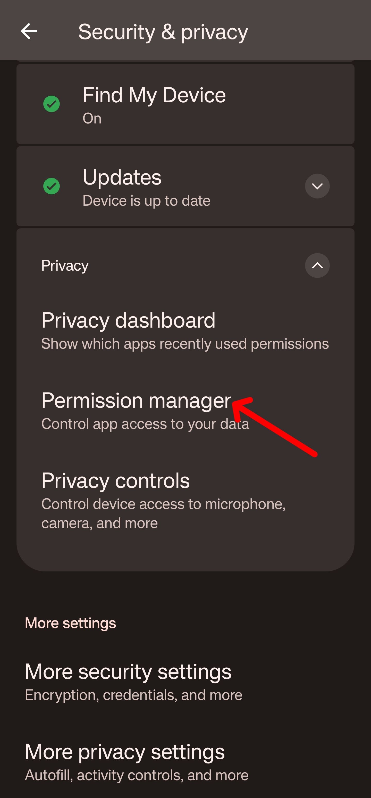 Tap the permission manager tab to access its settings.
