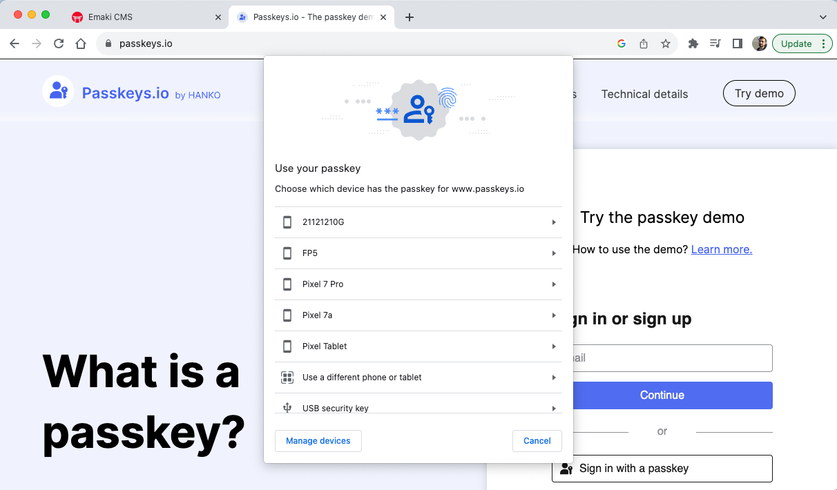 Screenshot of passkeys.io's passkey demo with the 