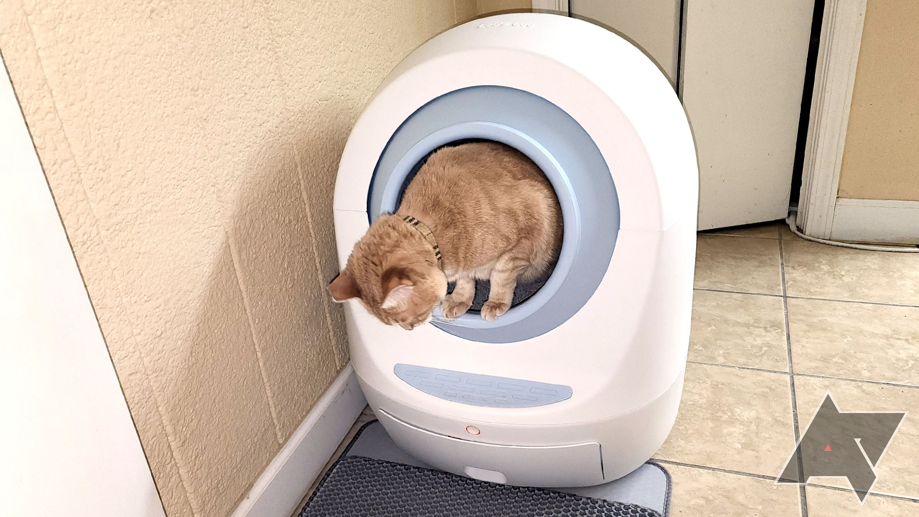 Leo's Bathroom bathroom Too Dapper Self-Cleansing Litter Box cat leaving