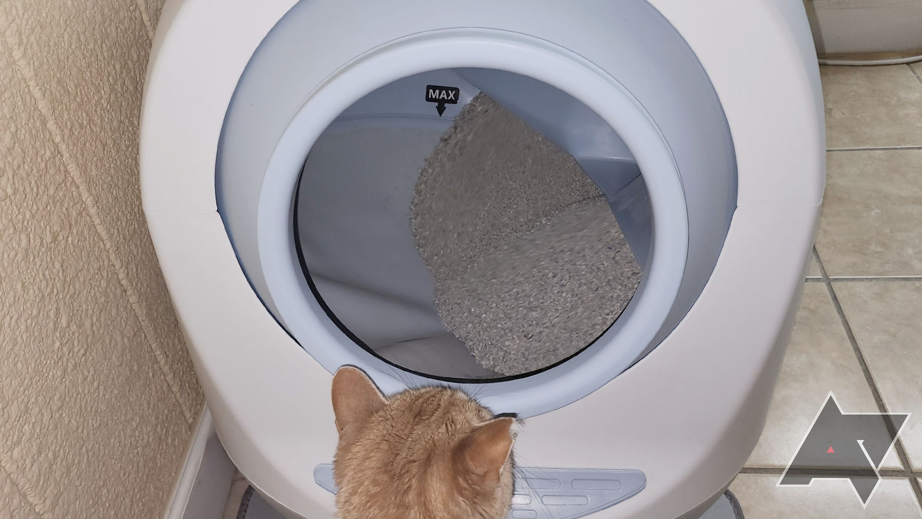 Leo's Bathroom bathroom Too Dapper Self-Cleansing Litter Box cat taking a gaze within drum