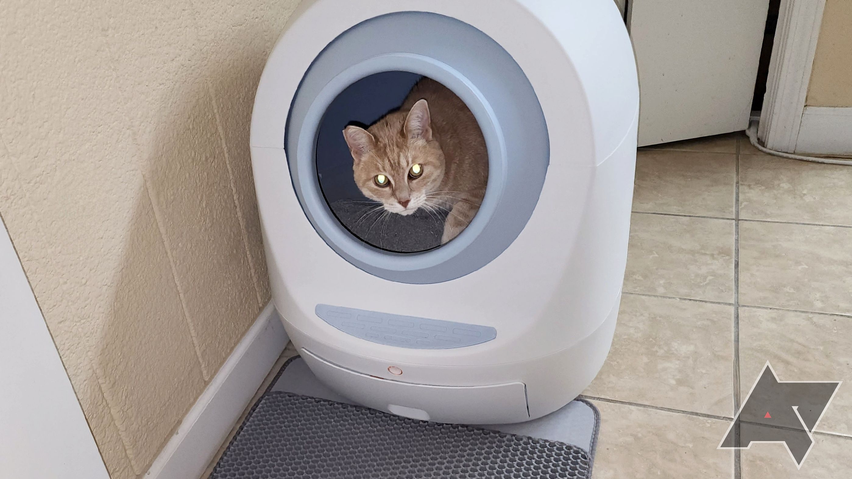 Leo's Loo Too Smart Self-Cleaning Litter Box cat peeking out