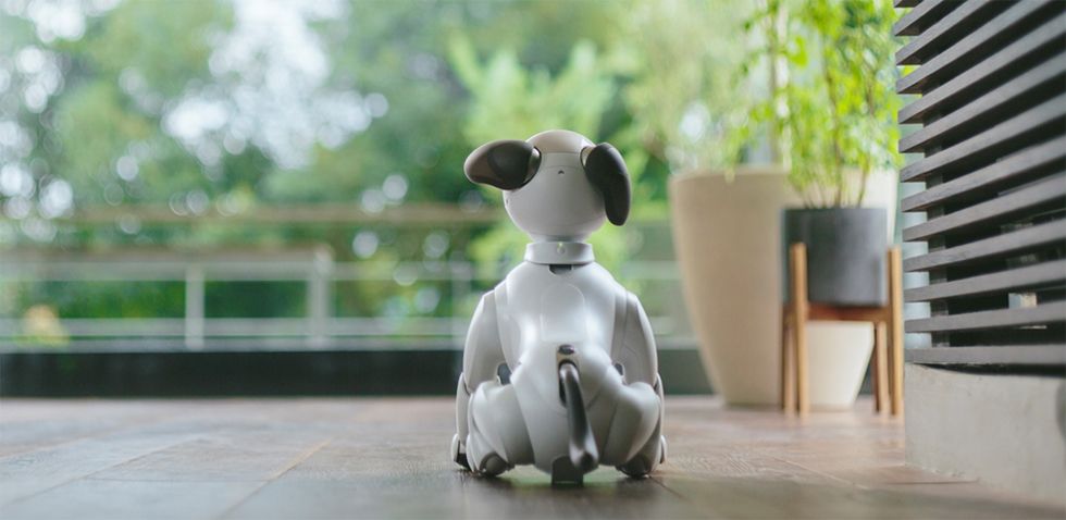 sony-aibo-recycling-foster-program