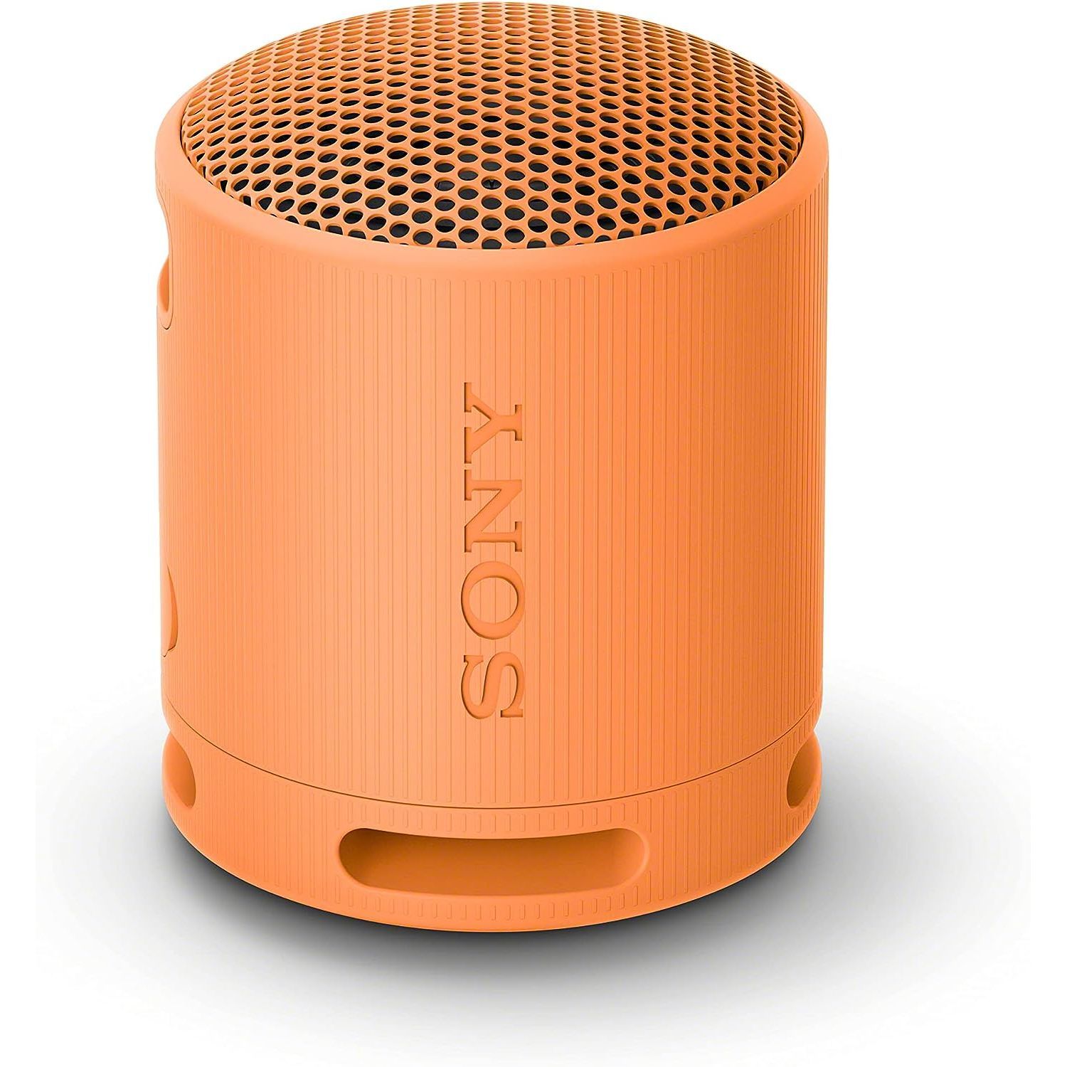 Sony SRS-XB100 portable bluetooth speaker