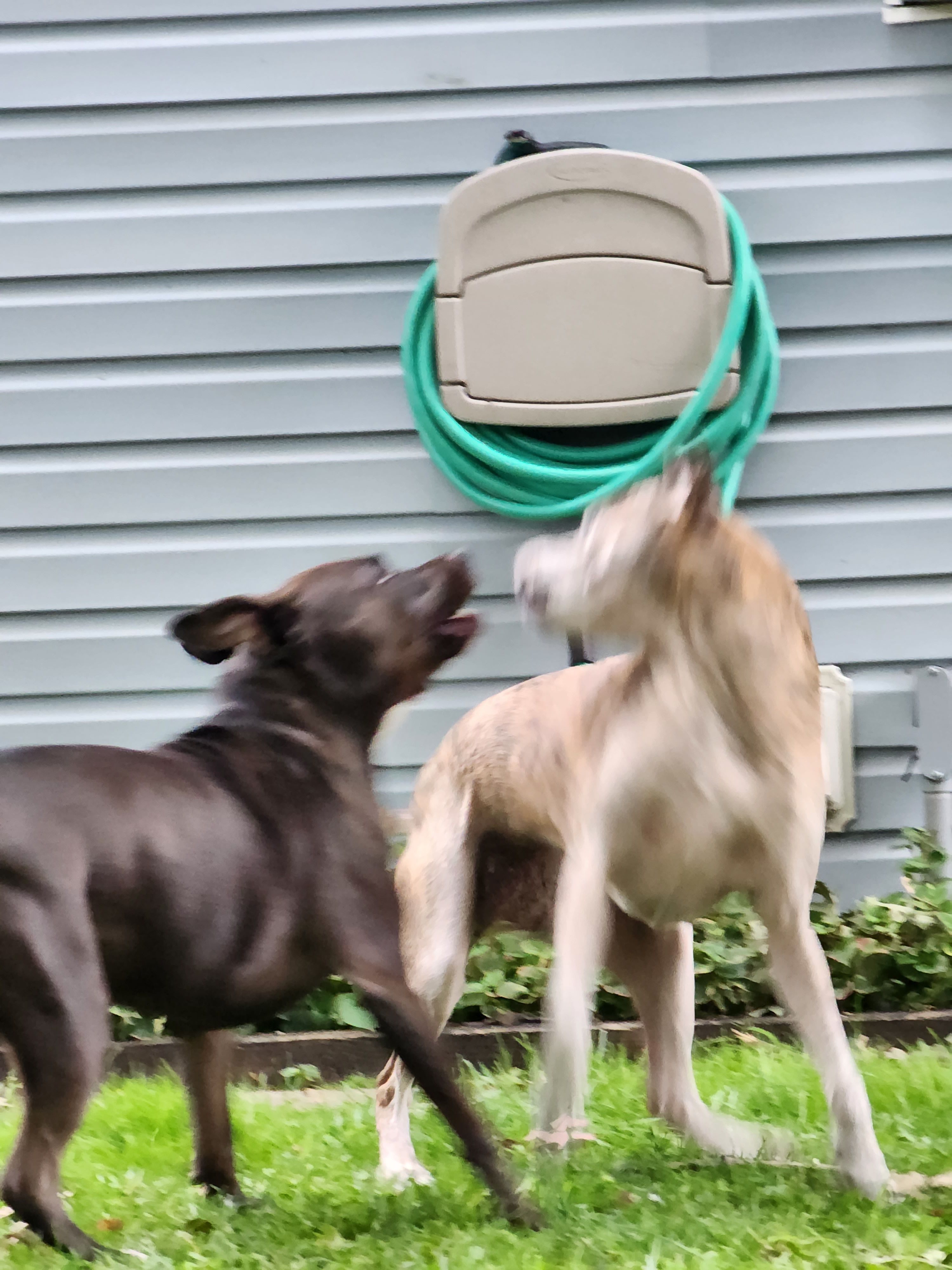 super-telephoto-bad-example