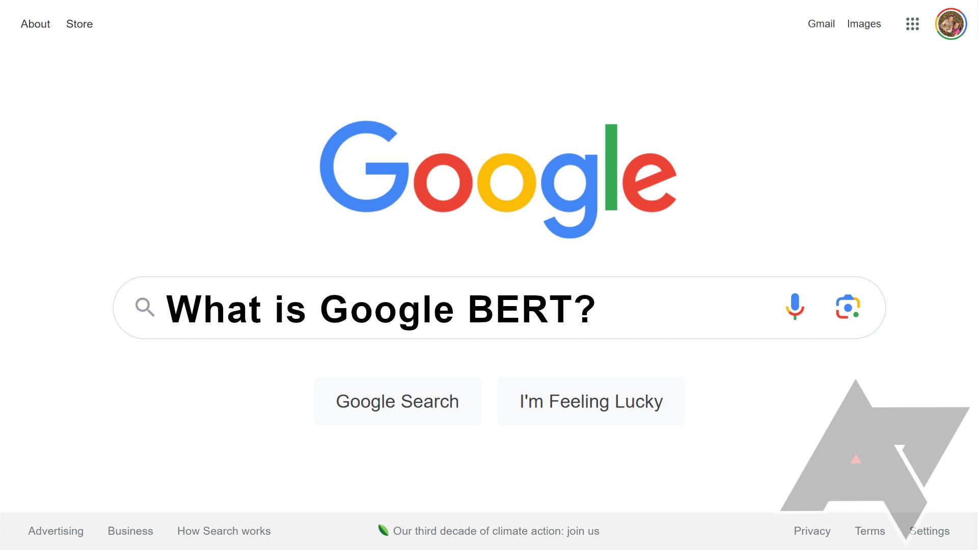 The Google Search webpage shows a search for What is Google BERT?