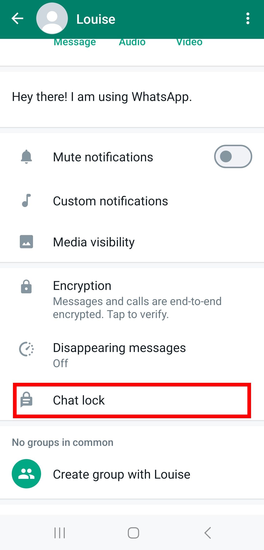 How To Turn On Whatsapp Chat Lock 9289