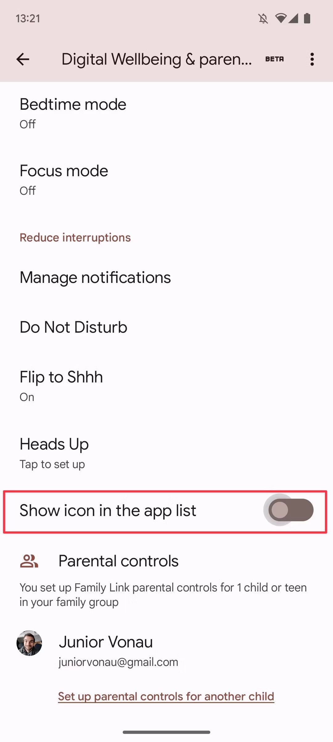 Digital wellbeing screenshot showing show icon toggle
