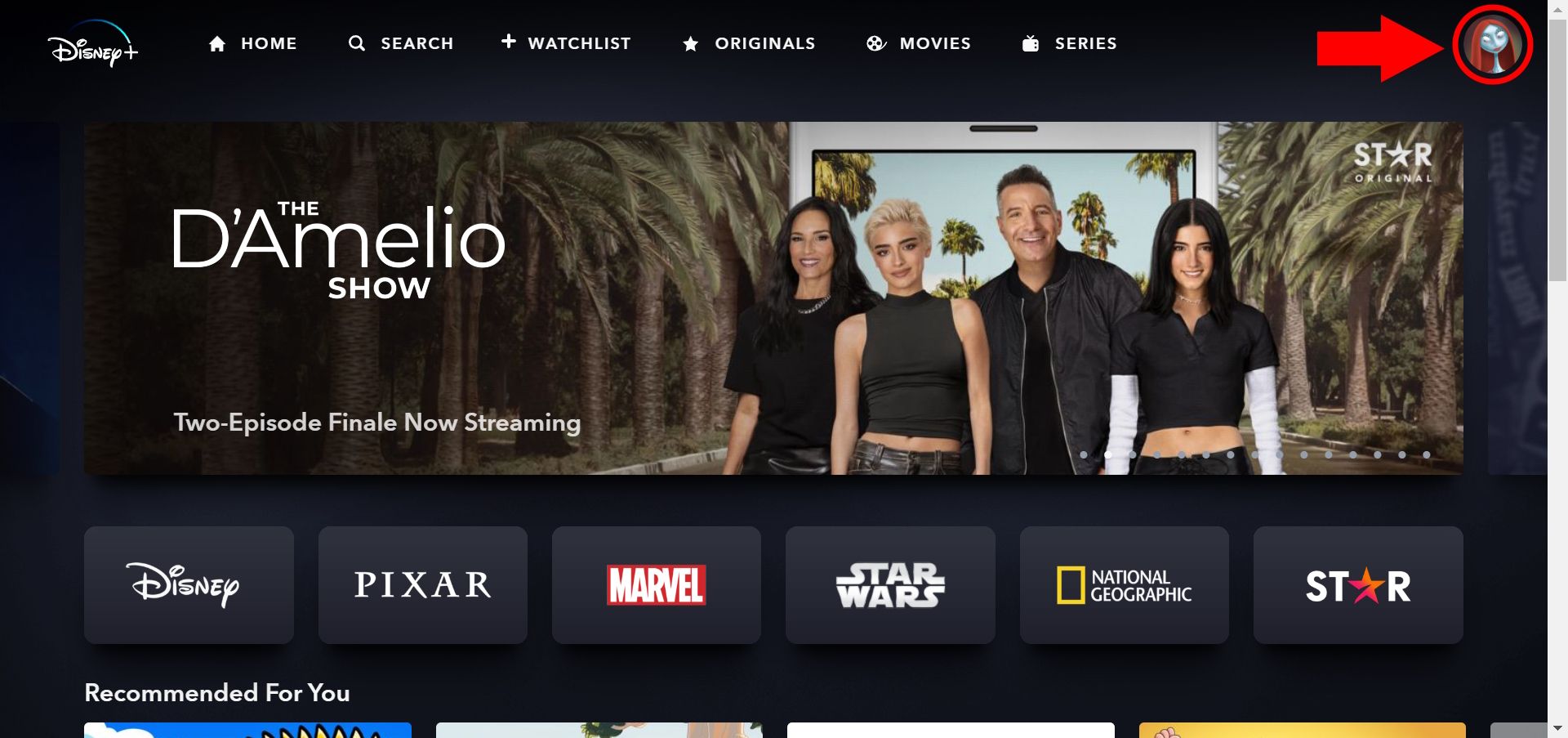 Disney+ logged in user home page with solid red arrow pointing to circle outline over user profile.