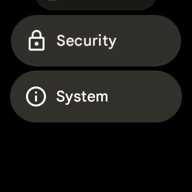 How to reset your Google Pixel Watch