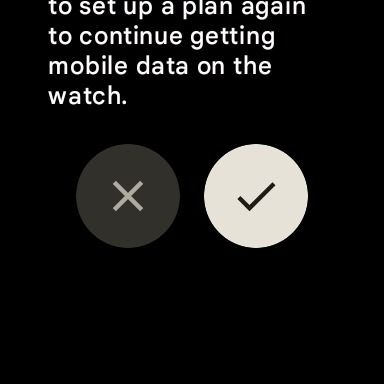 How to reset your Google Pixel Watch